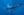 Blue Bullet fine art print — a sleek tuna gliding through sunlit deep-blue open ocean