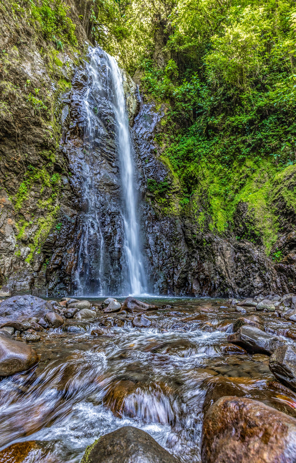 A hidden rainforest stream in Costa Rica