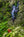 A hidden rainforest waterfall in Costa Rica