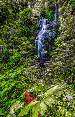 A hidden rainforest waterfall in Costa Rica