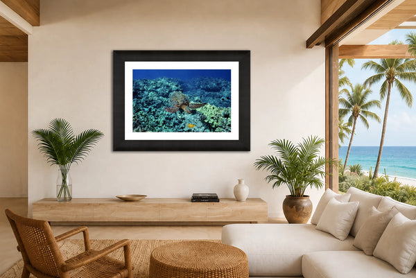 Aloha Hawaiian green sea turtle and coral reef fine art print framed on the wall of a bright oceanfront living room