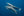 Blue Harmony fine art print — a pod of spinner dolphins gliding gracefully together through calm deep-blue ocean