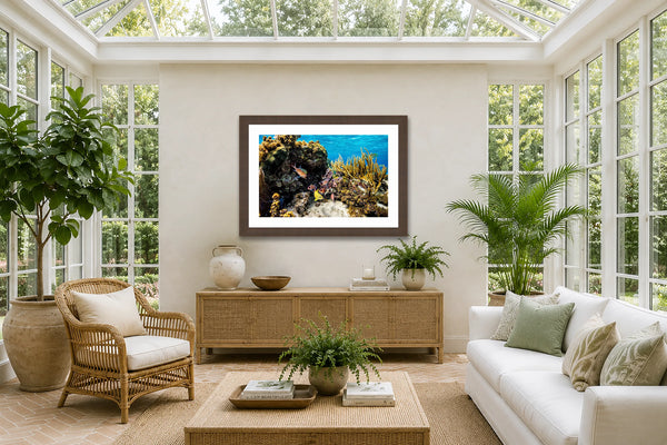 Colors Of The Caymans Cayman Islands coral reef fine art print framed in a bright luxury sunroom