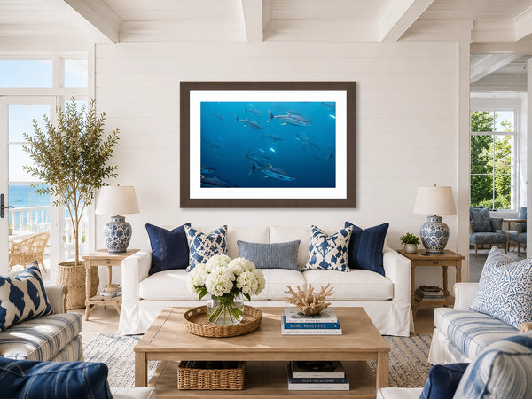Current Flow school of yellowfin tuna fine art print framed in a bright Hamptons-style coastal living room