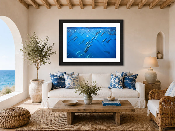 Deep Dive spinner dolphin pod fine art print framed in a bright Mediterranean villa living room