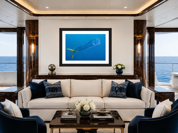 Dorado mahi-mahi fine art print framed straight-on above a cream sofa in a luxury superyacht salon with navy accents and ocean views