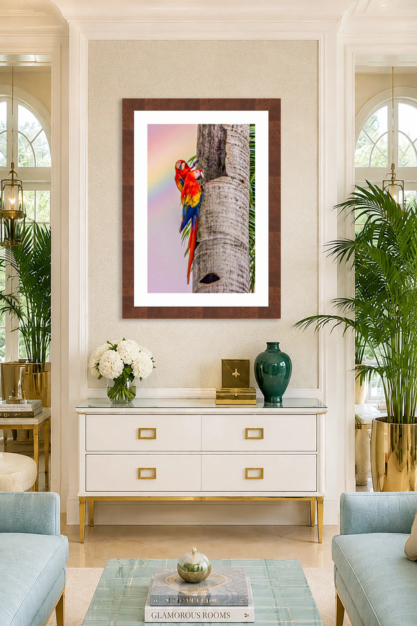 Double Rainbow scarlet macaw fine art print framed in a walnut frame on a tall feature wall in a glamorous Palm Beach Regency sitting room