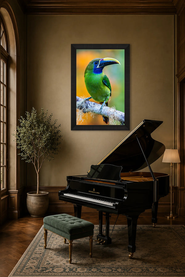 Emerald of the Rainforest toucanet fine art print framed on a warm wall above a Steinway grand piano in an elegant luxury music room