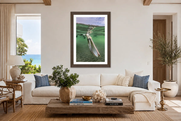 Face to Face pelican fine art print framed in walnut above a white sofa in a bright coastal living room with ocean views