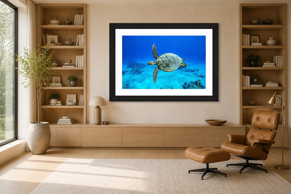 Flyby green sea turtle fine art print framed on a warm wall above an oak console in a bright modern luxury home library with a leather lounge chair