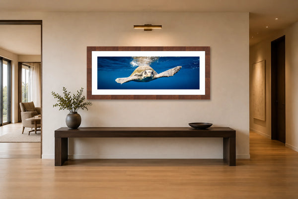 Follow the Current panoramic sea turtle fine art print framed under a picture light above a long console in a refined modern gallery hallway