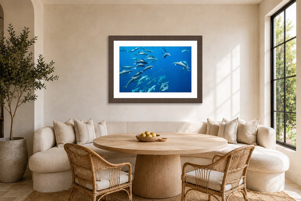 In the Pod dolphin fine art print framed above a curved linen banquette in a sunlit coastal morning room with a round oak table and rattan chairs