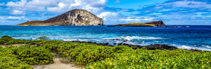 A breezy tropical coastline in Hawaii