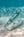 Silver King fine art print of a tarpon gliding over sandy flats before a current of silver baitfish