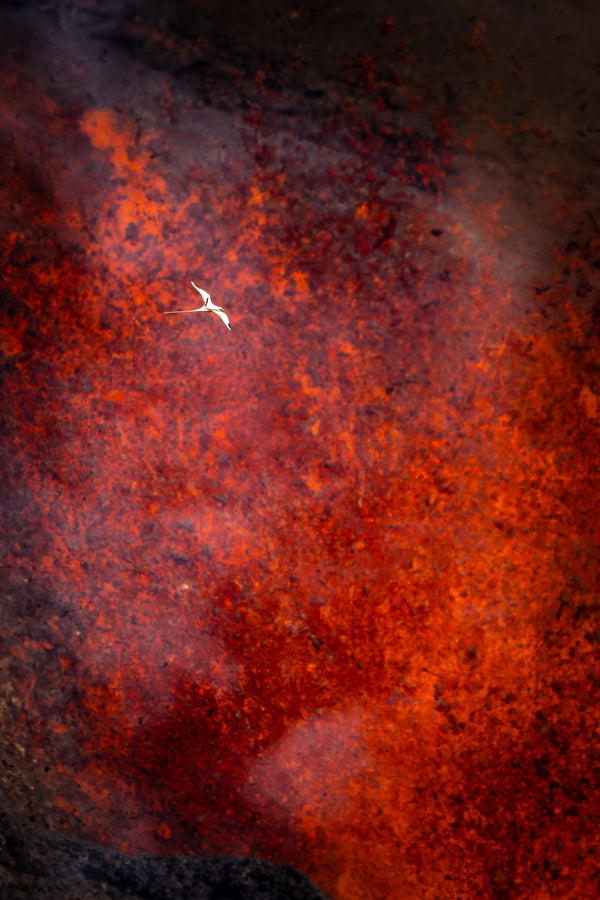 Spirit of Kilauea