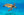 Beneath The Surface fine art print — a green sea turtle gliding through bright turquoise water above a coral reef