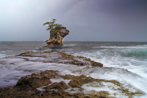 Caribbean Castaway fine art print — a lone tree on a sea stack amid misty long-exposure waves under a moody Caribbean sky