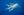 Dances With Dolphins fine art print — a pod of spinner dolphins gliding in harmony through deep-blue open ocean