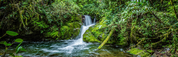 A hidden rainforest waterfall deep in Costa Rica