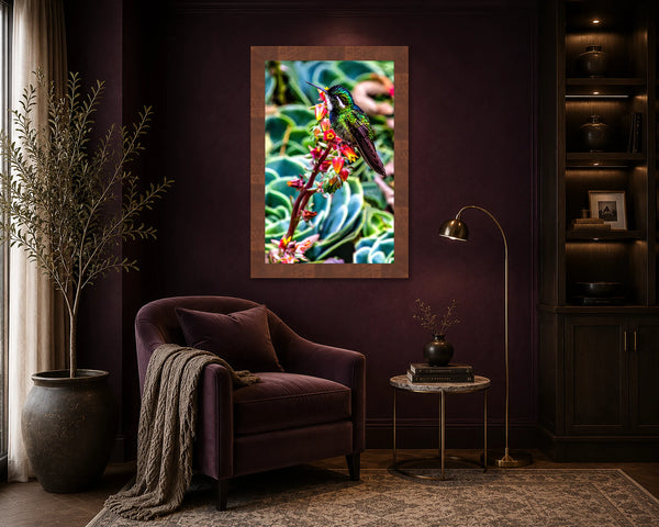 Nature's Gems hummingbird fine art print framed in walnut on a deep plum wall above an accent chair in a moody luxury sitting corner