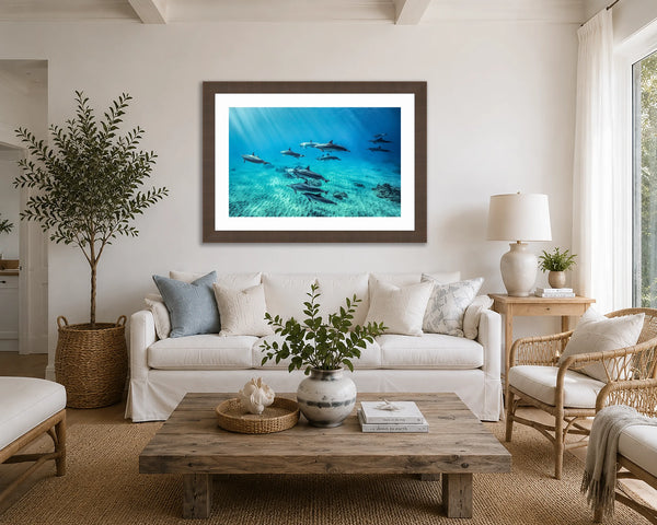 Oahu Wonders underwater dolphin pod fine art print framed in walnut above a white sofa in a bright coastal beach-house living room