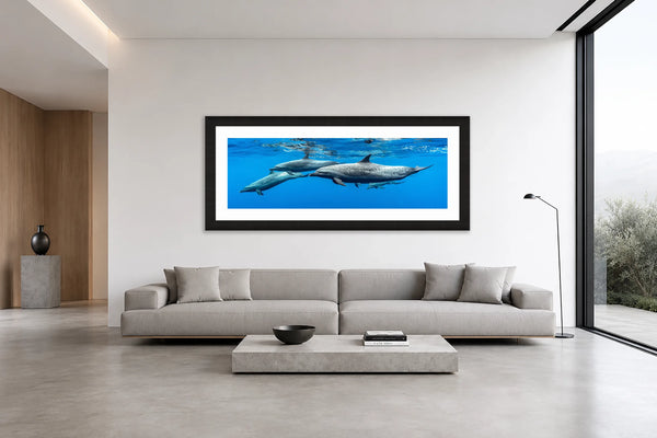 Pantropical Encounters panoramic spotted dolphin fine art print framed in black above a long sofa in a minimalist modern living space
