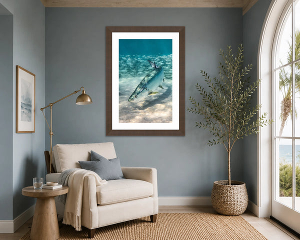 Silver King tarpon fine art print framed in walnut on a blue-grey wall above an accent chair in a serene coastal sitting nook