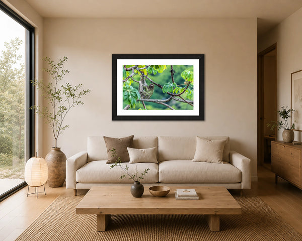 Smile smiling sloth rainforest fine art print framed in black above a linen sofa in a serene Japandi living room
