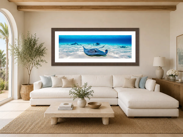 Stingray City turquoise underwater panorama framed above a white sofa in a bright California-modern living room