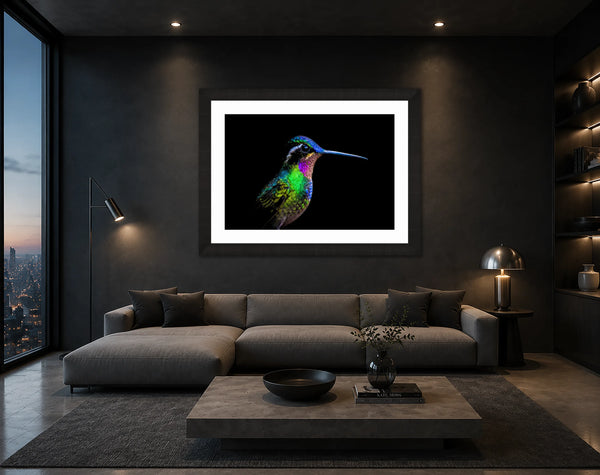 The Flying Jewel iridescent hummingbird print framed on a charcoal wall in a sleek modern living room