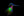 An iridescent hummingbird glowing against a pure black background