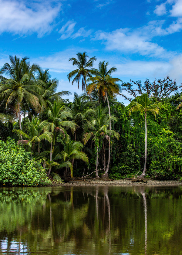Corcovado